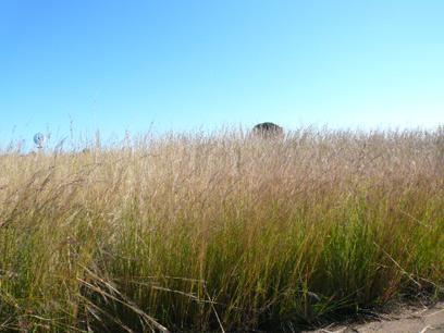 Front View of property in Kameelzyn Kraal