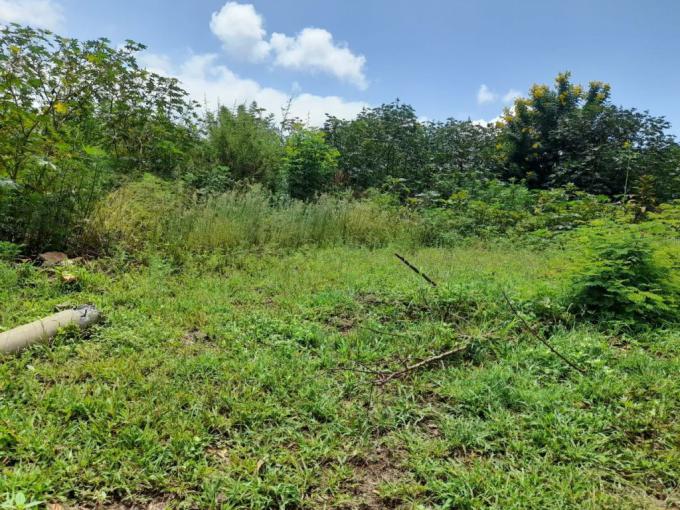 Land for Sale For Sale in Cashan - MR564494