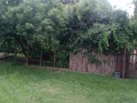 Backyard of property in Vryheid