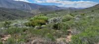  of property in Montagu