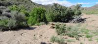  of property in Montagu