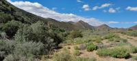 of property in Montagu