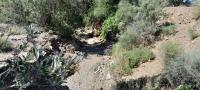  of property in Montagu