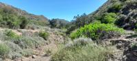  of property in Montagu