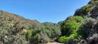  of property in Montagu