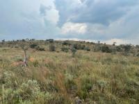  of property in Parys
