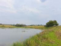  of property in Parys