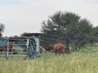  of property in Parys