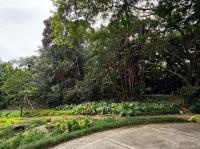  of property in Shelly Beach