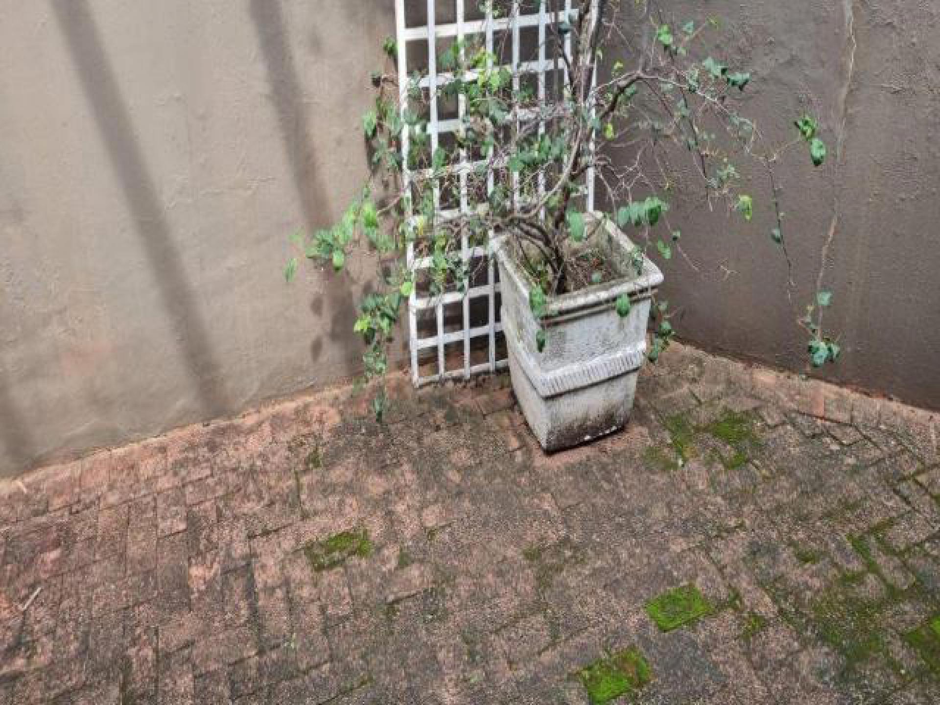 Backyard of property in Glenmore (KZN)