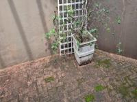 Backyard of property in Glenmore (KZN)