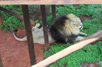  of property in Polokwane