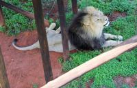  of property in Polokwane