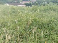  of property in Glen Hills (Stanger)