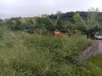  of property in Glen Hills (Stanger)