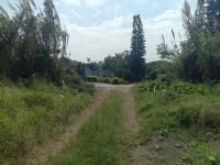  of property in Tongaat