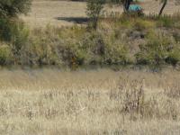  of property in Parys