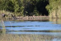  of property in Koro Creek Golf Estate
