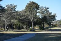  of property in Koro Creek Golf Estate