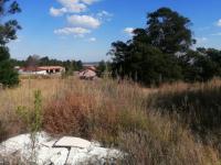 Land for Sale for sale in Ohenimuri