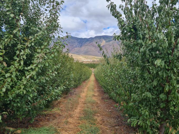 Farm for Sale For Sale in Montagu - MR570485