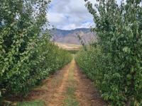 Farm for Sale for sale in Montagu