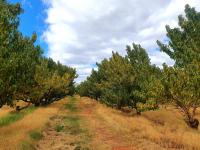  of property in Montagu