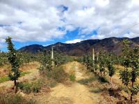  of property in Montagu