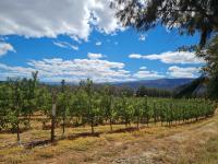  of property in Montagu
