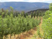  of property in Montagu