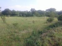  of property in Waltloo
