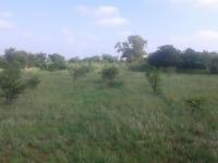  of property in Waltloo