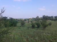  of property in Waltloo