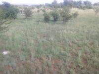 of property in Waltloo
