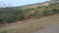  of property in Padianagar