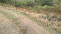  of property in Padianagar
