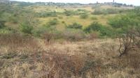  of property in Padianagar