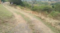 of property in Padianagar