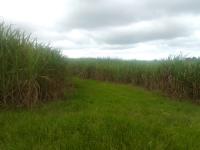 Farm for Sale for sale in Tongaat