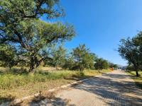  of property in Hoedspruit