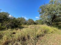  of property in Hoedspruit