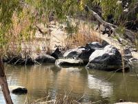  of property in Parys