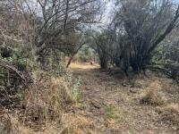  of property in Parys