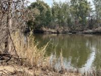  of property in Parys