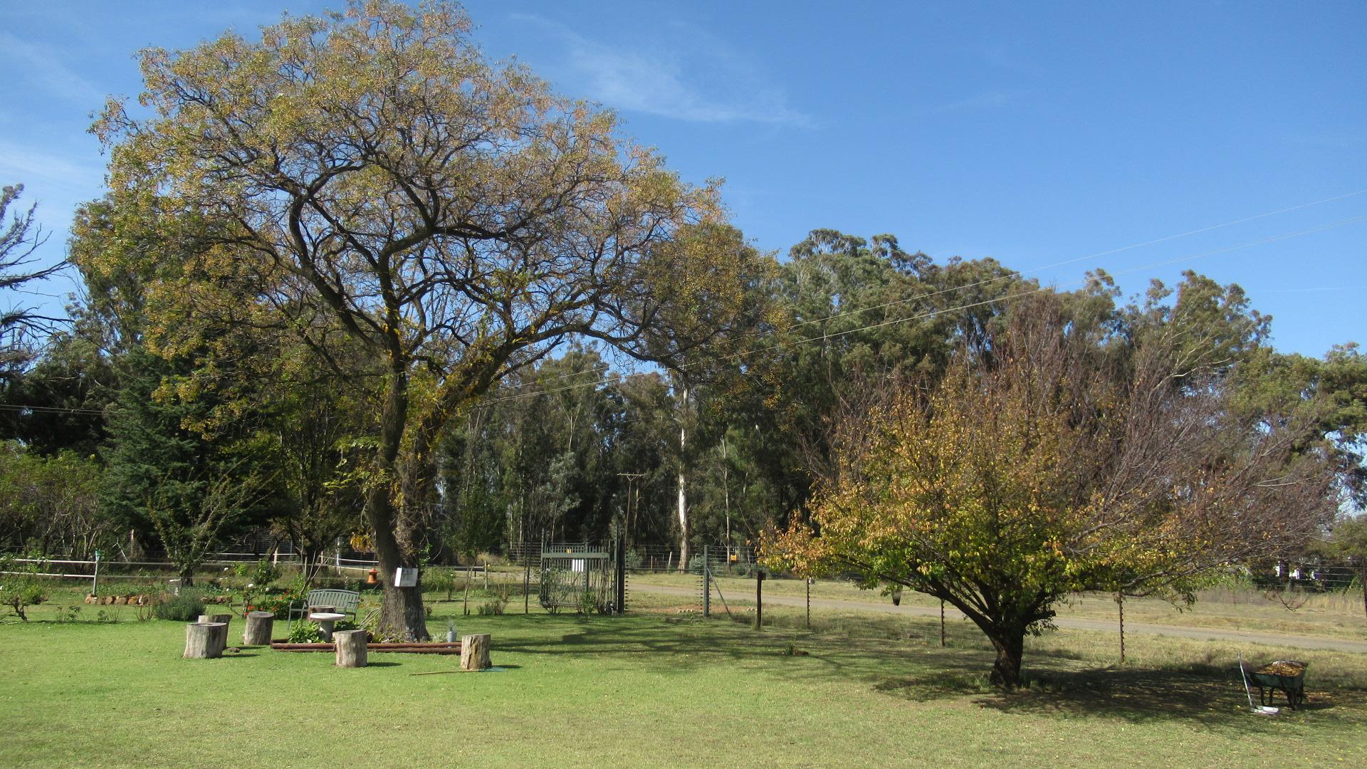 Backyard of property in Walkers Fruit Farms SH