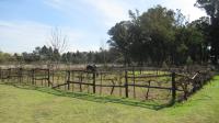 Backyard of property in Walkers Fruit Farms SH