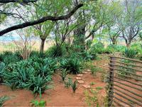  of property in Polokwane