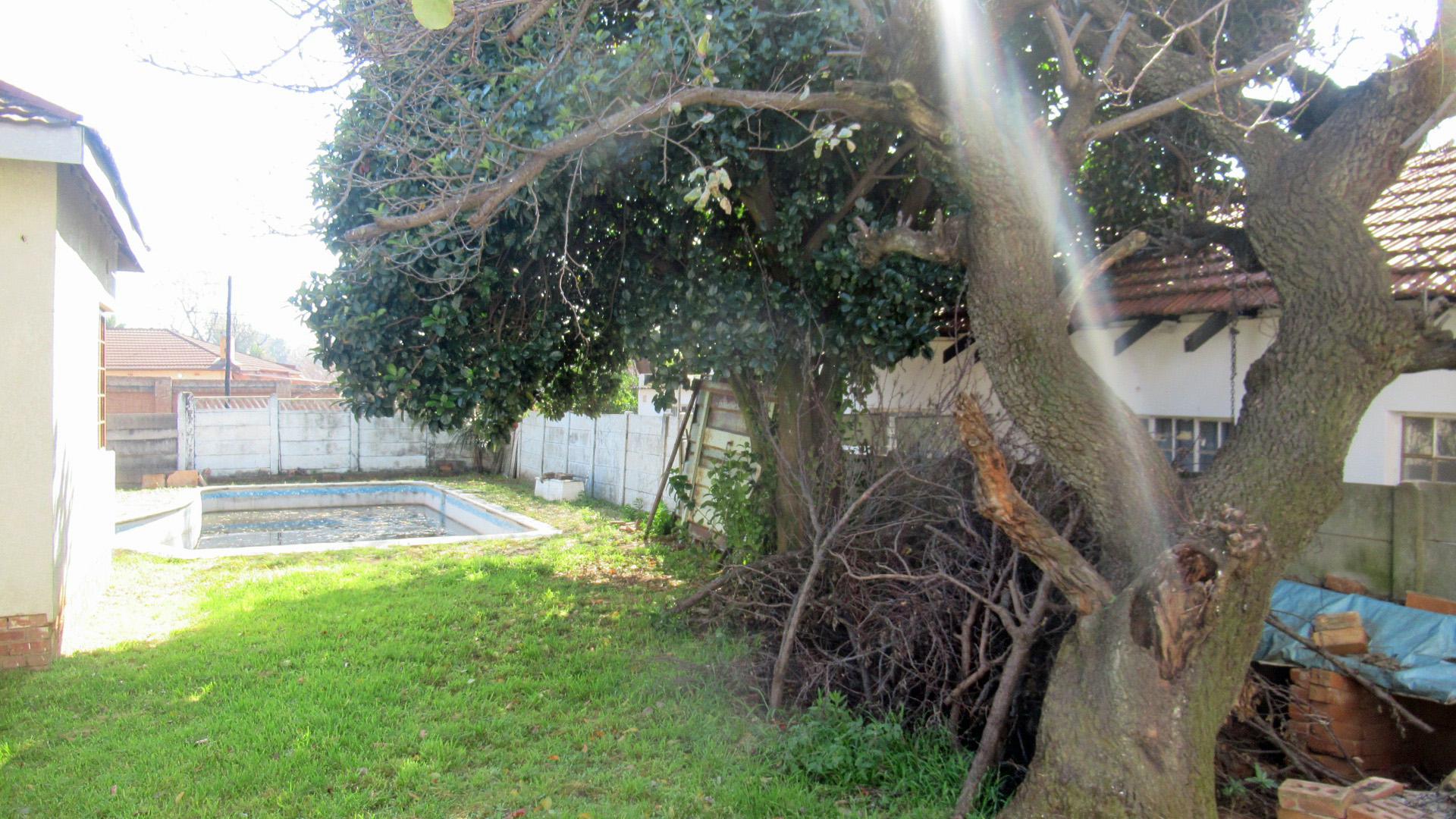 Backyard of property in Florida