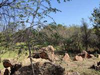  of property in Parys