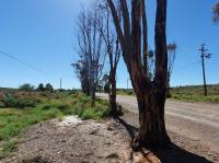 Land for Sale for sale in Willowmore